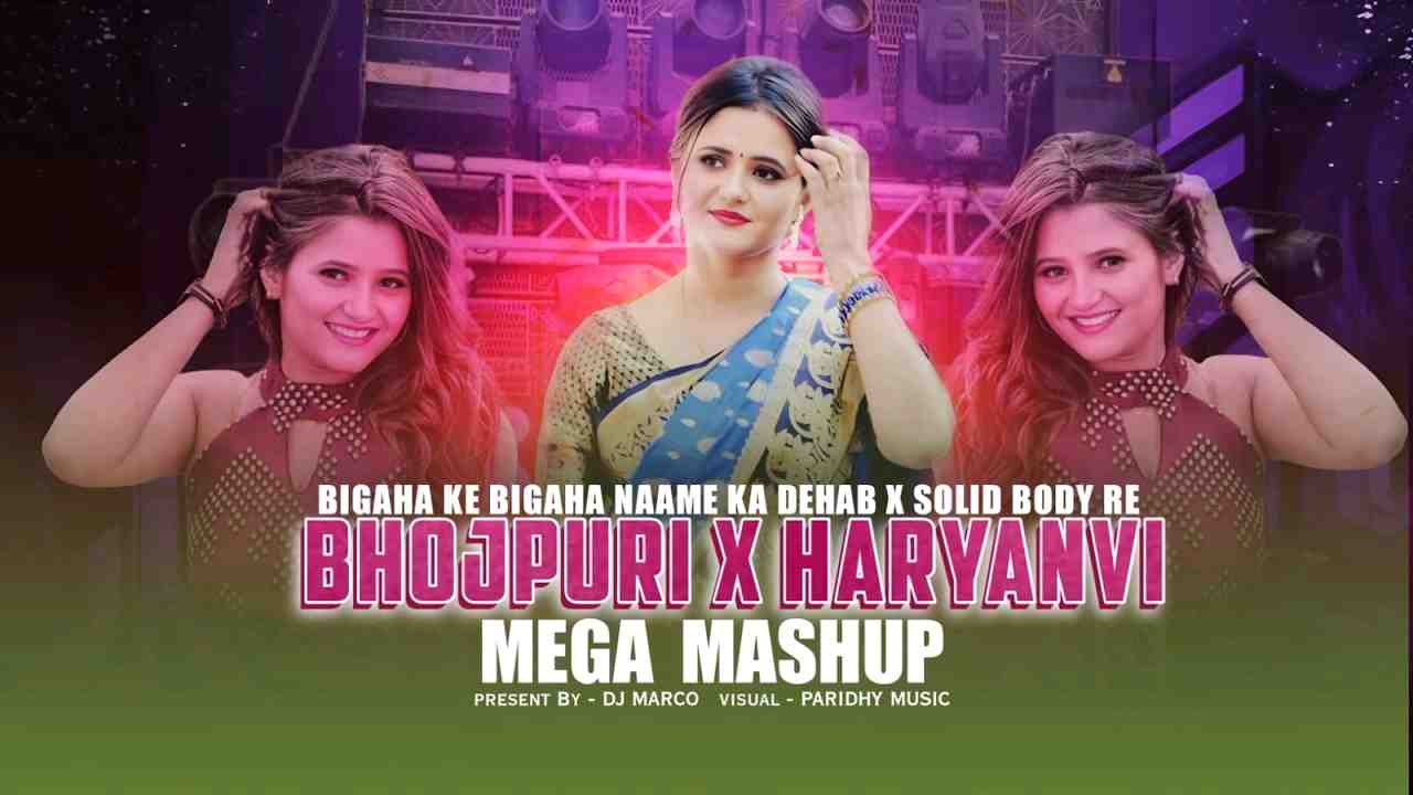 Bhojpuri Haryanvi Tadka Mashup Bigaha Ke Bigaha Solid Body Instagram Viral Song 2026